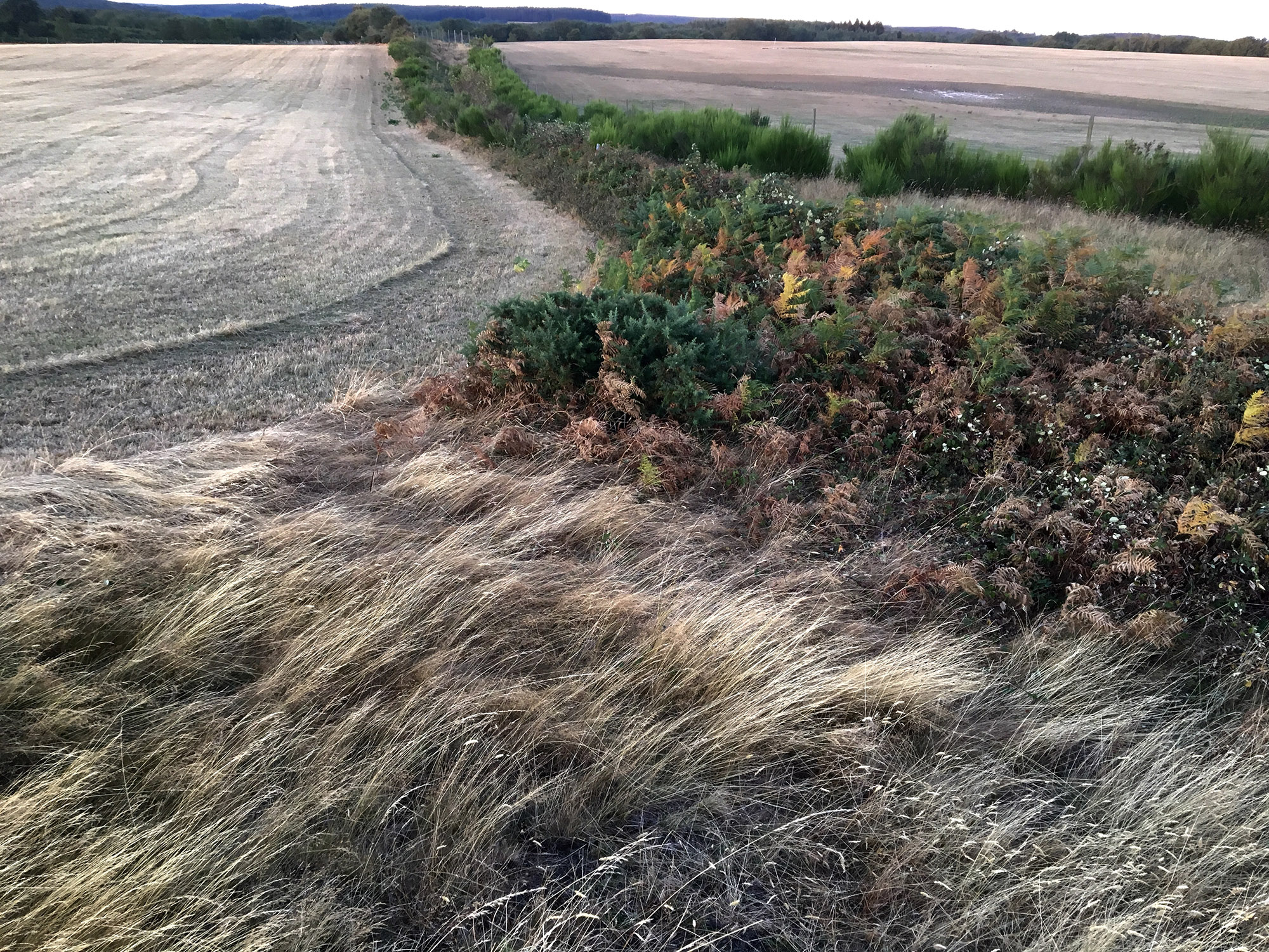 Fotografia: Jean-Marie del Moral.
