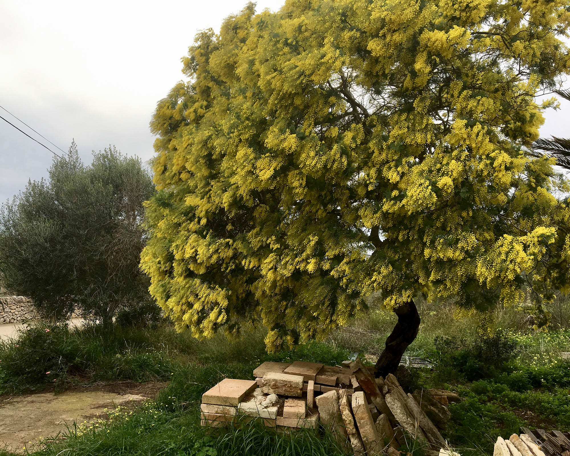 Fotografia: Jean-Marie del Moral.