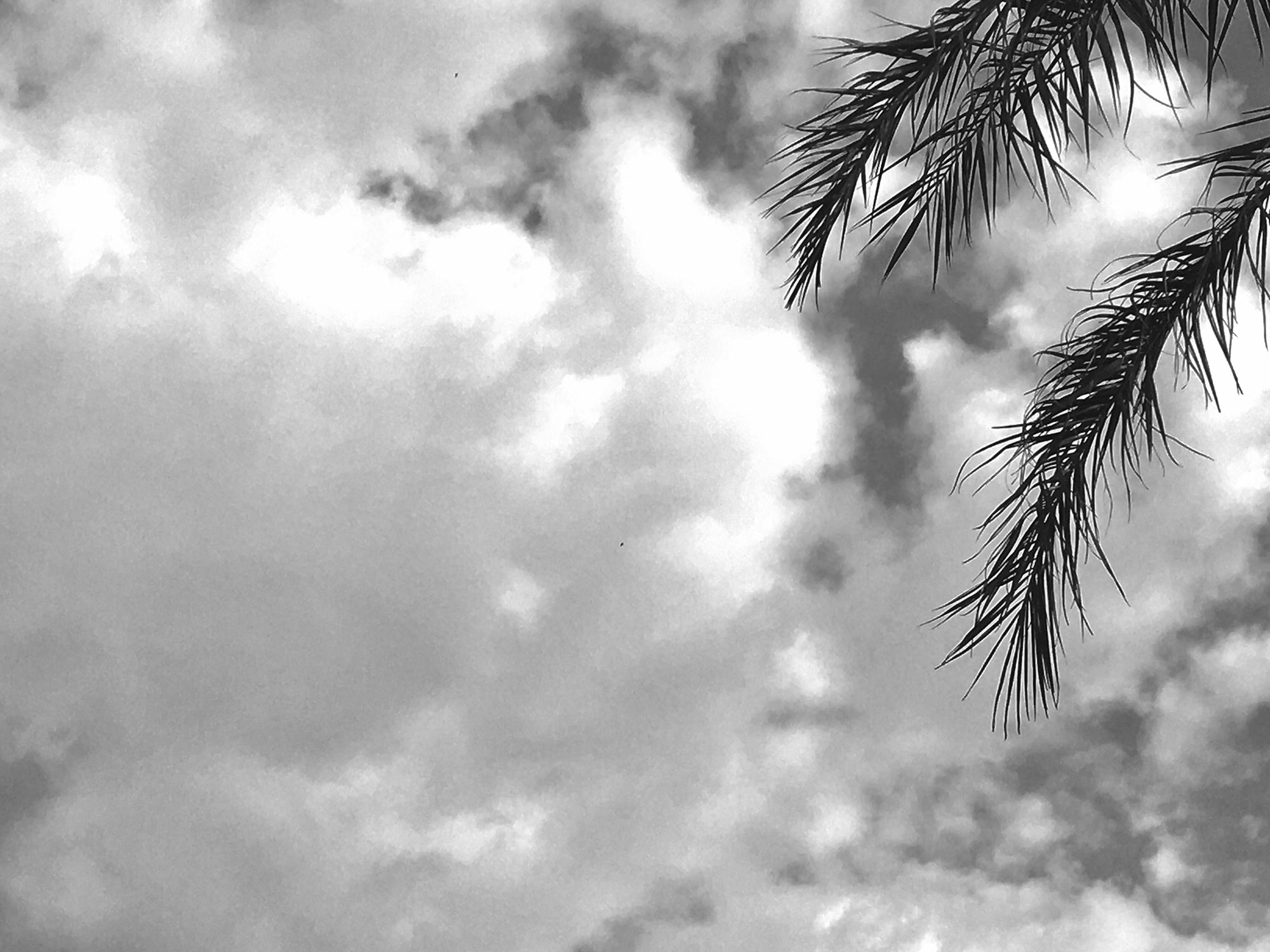 Fotografia: Jean-Marie del Moral.