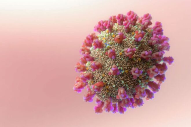 Tot allò que us cal saber sobre les noves variants de la covid-19