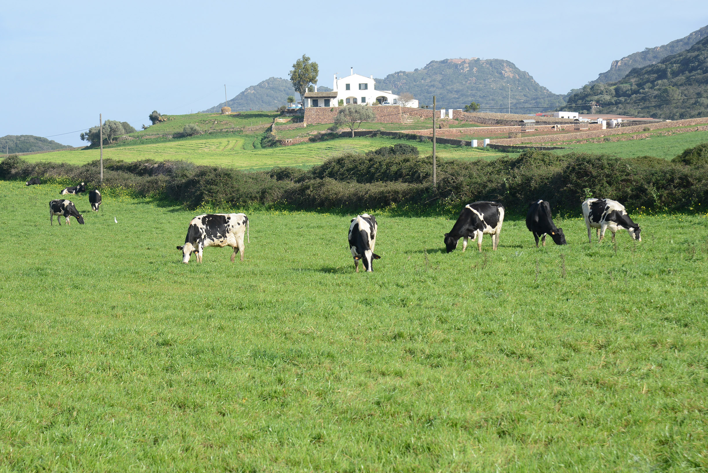 Fotografia: Prats i Camps