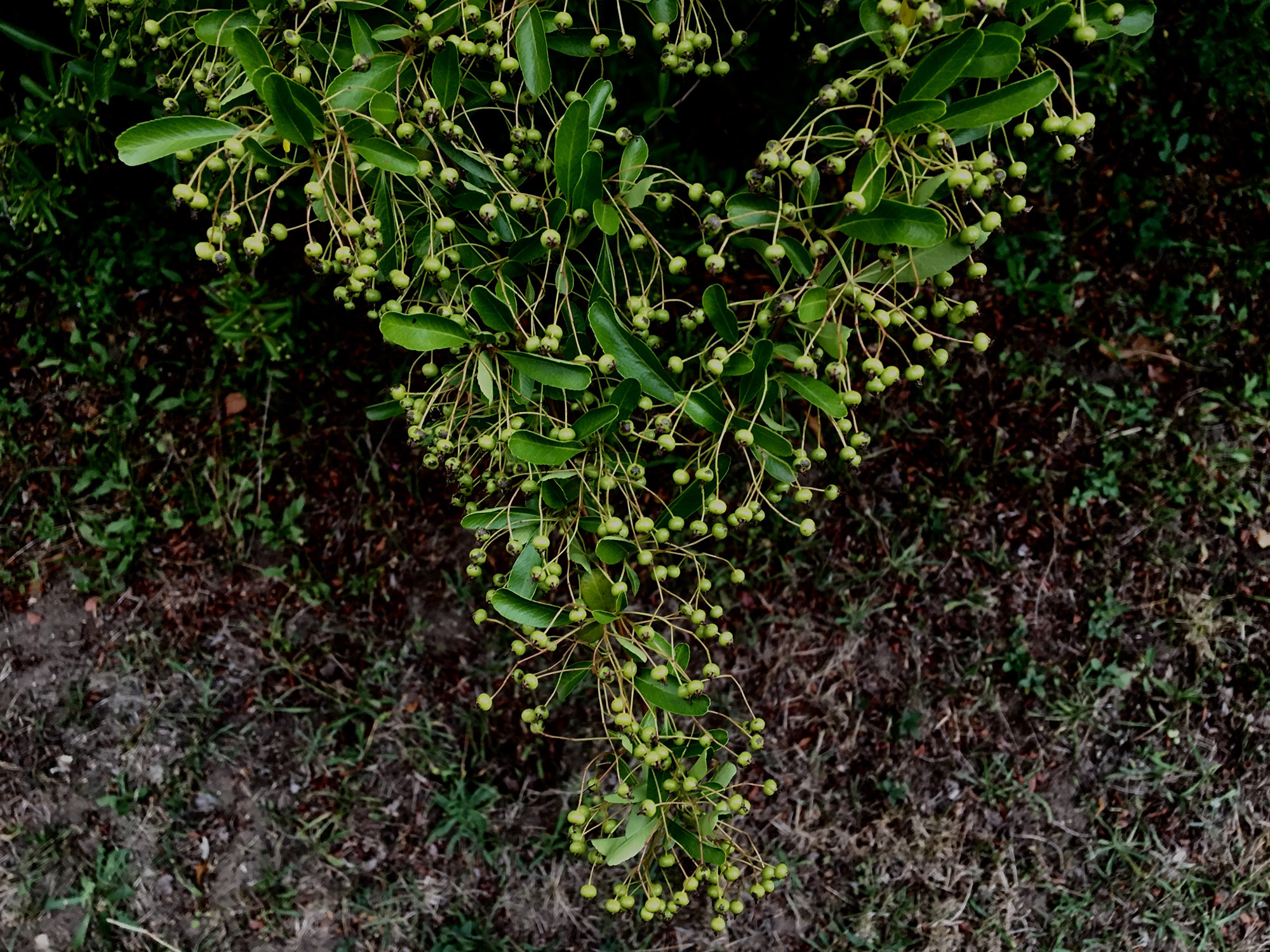 Fotografia: Jean-Marie del Moral.