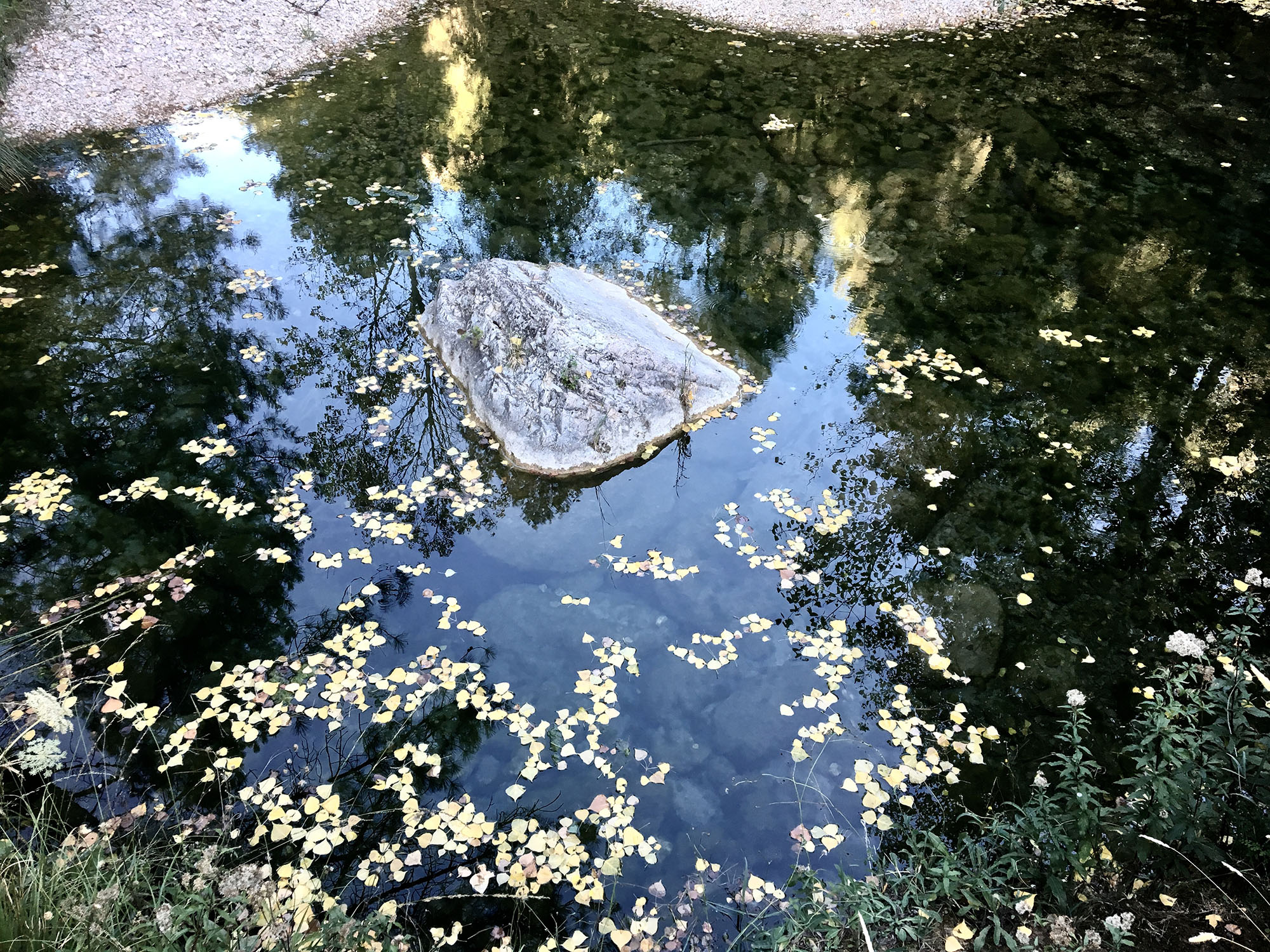 Fotografia: Jean-Marie del Moral.