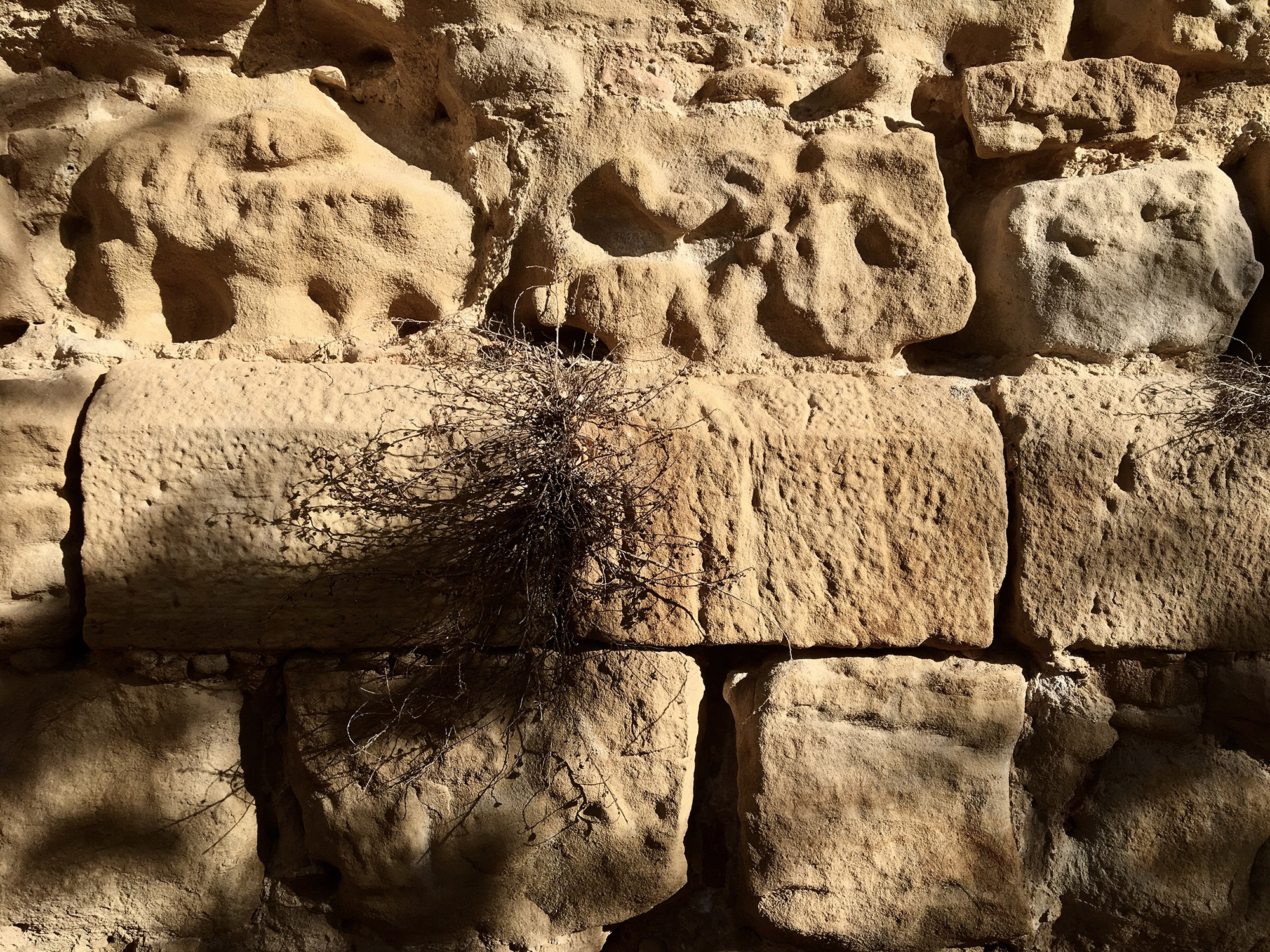 Fotografia: Jean-Marie del Moral.