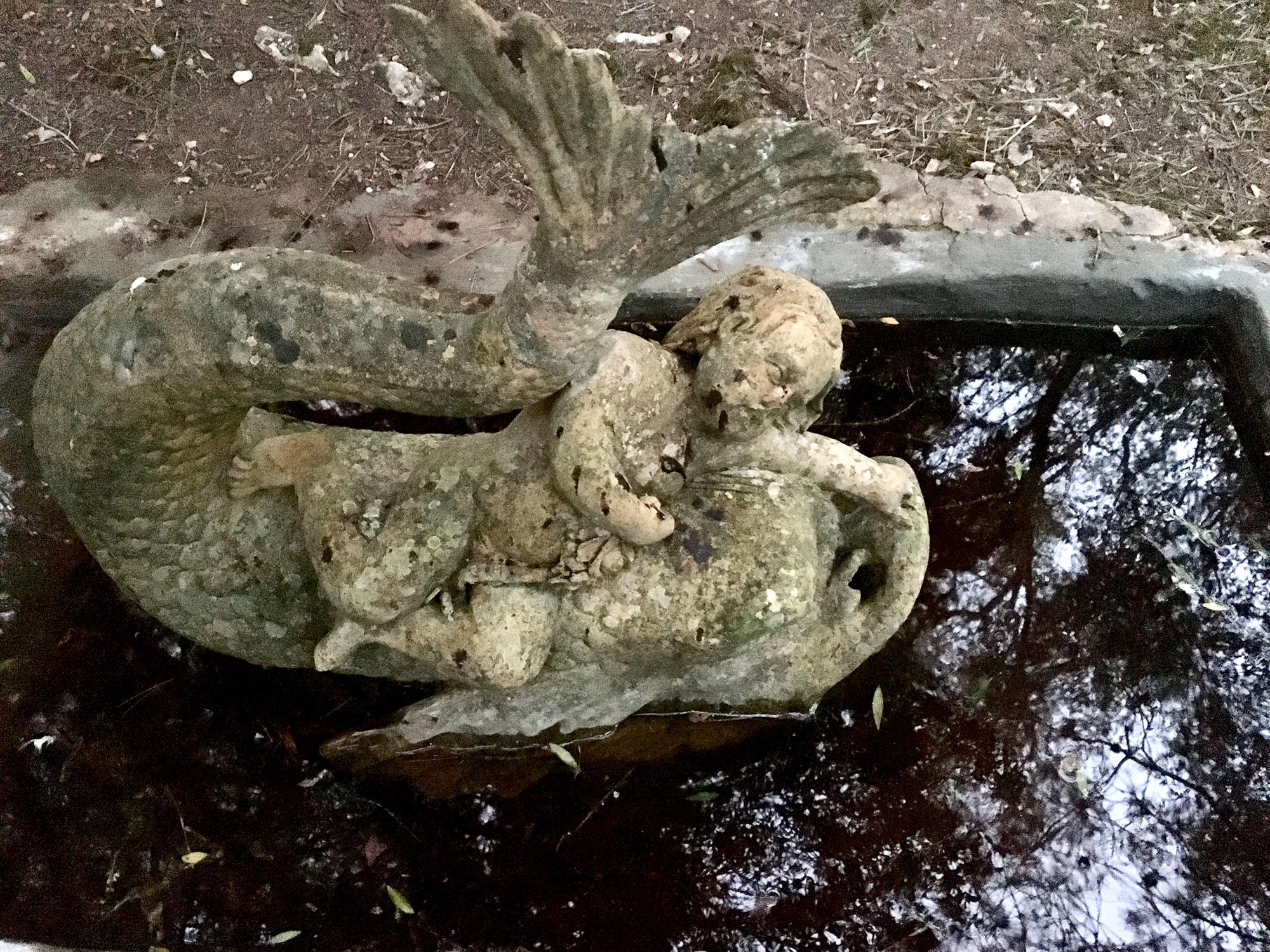 Fotografia: Jean-Marie del Moral.