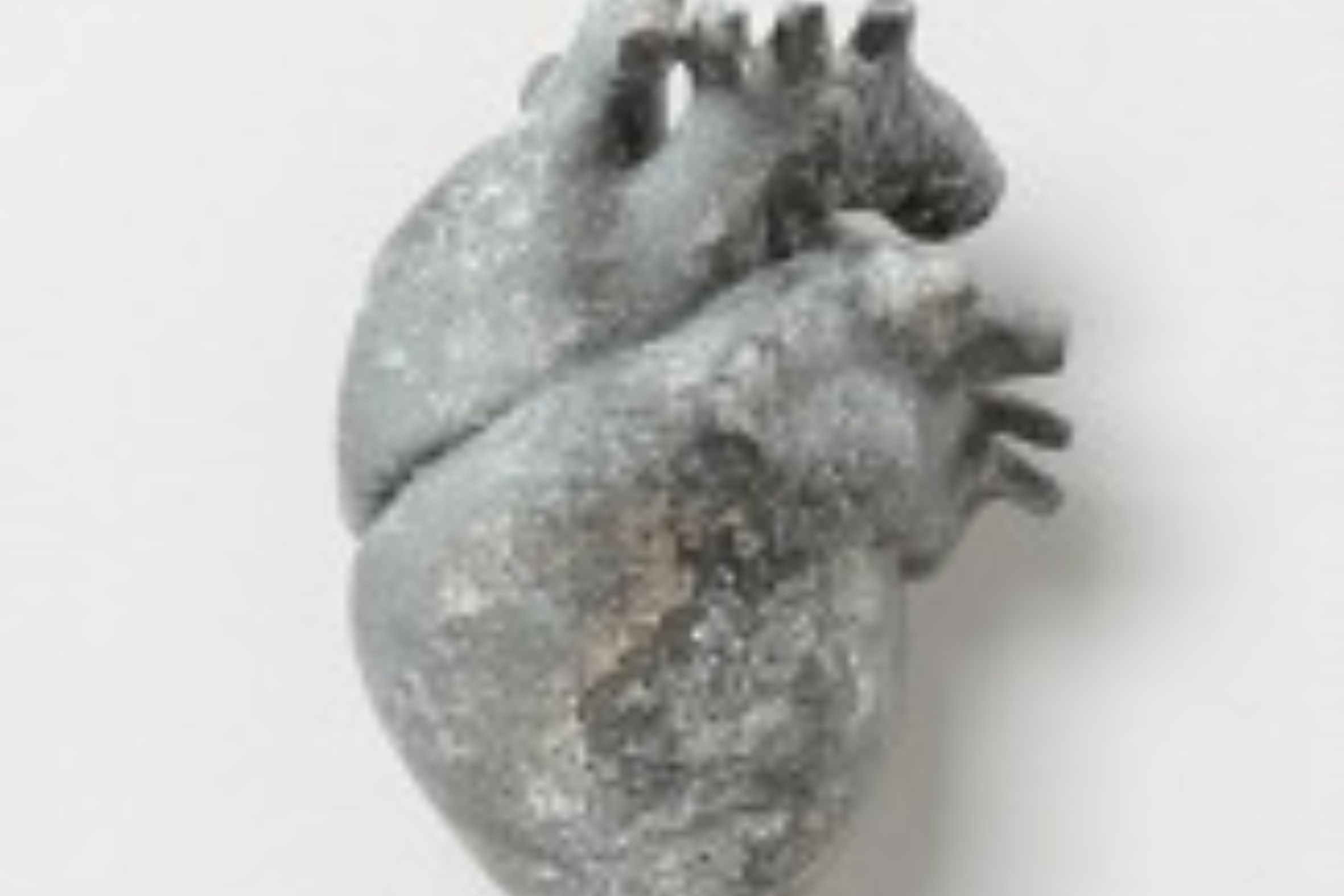 Detall de la coberta de 'Triomfador' de l’artista gràfic Javier Jaén.