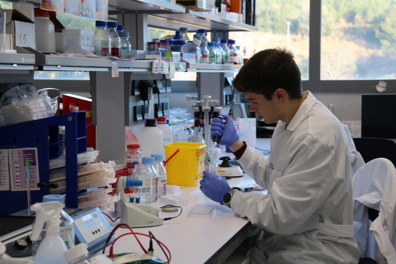 Imatge d'arxiu d'un investigador de l'Institut de Recerca Josep Carreras al laboratori.