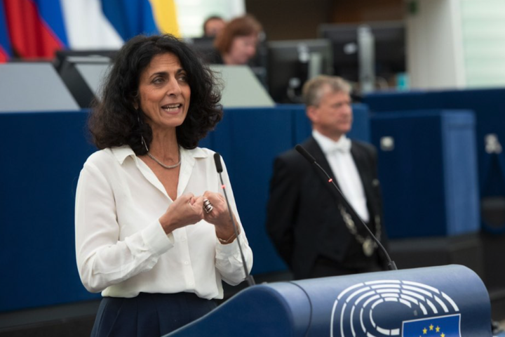 L'eurodiputada italiana Maria Arena en una intervenció al Parlament Europeu