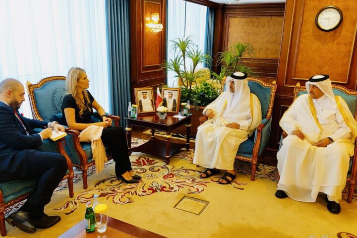 Eva Kailí en una trobada a Doha amb el ministre Ali bin Samikh Al Marri