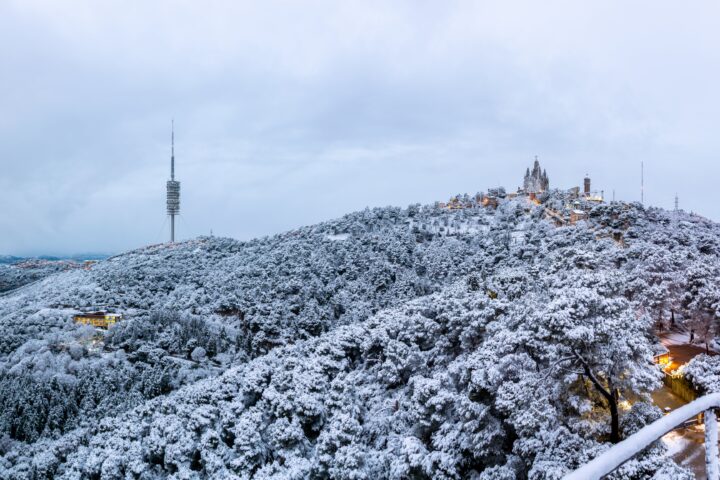 La neu emblanqueix la serra de Collserola (fotografia: Alfons Puertas)