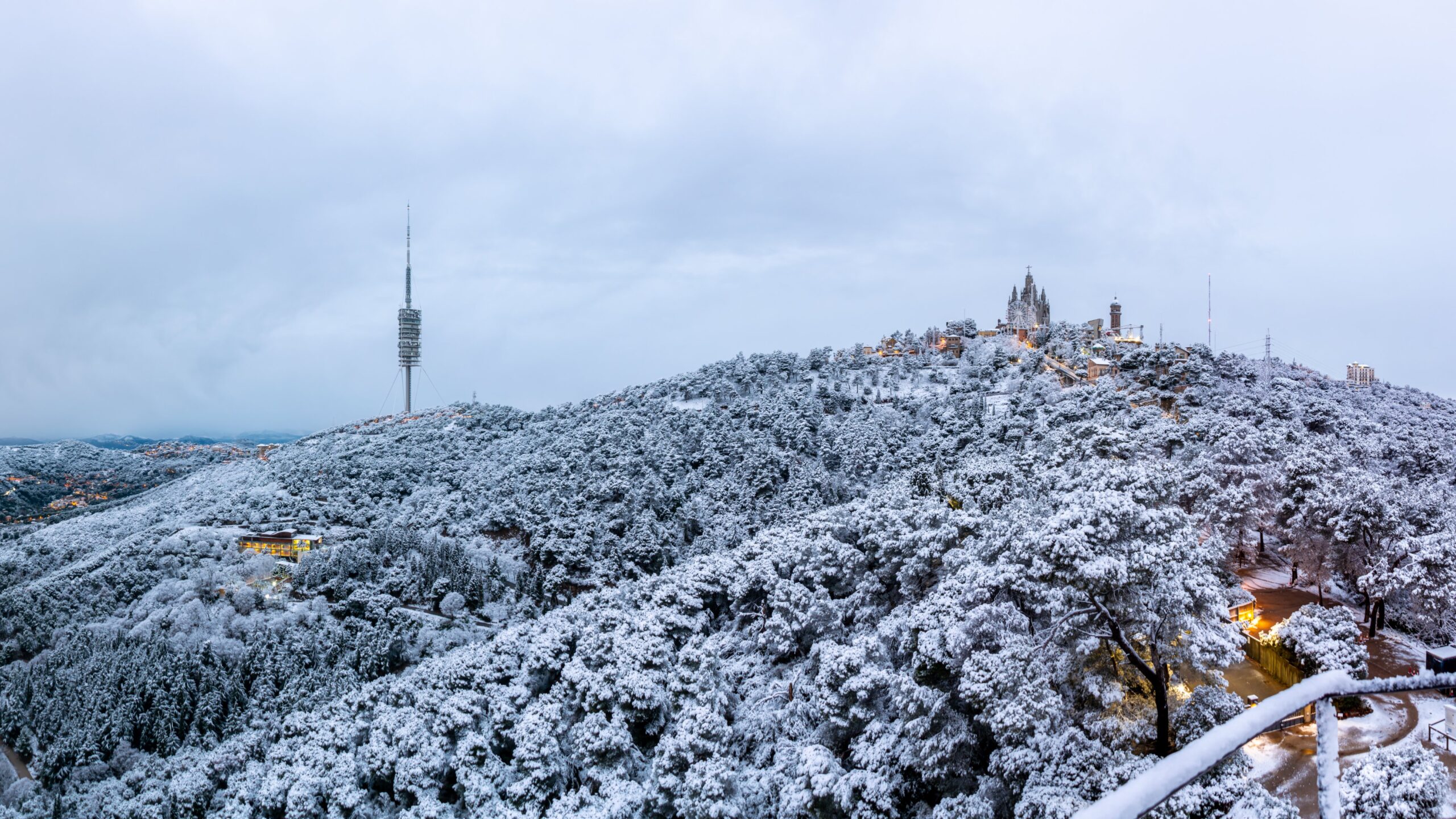 La neu emblanqueix la serra de Collserola (fotografia: Alfons Puertas)