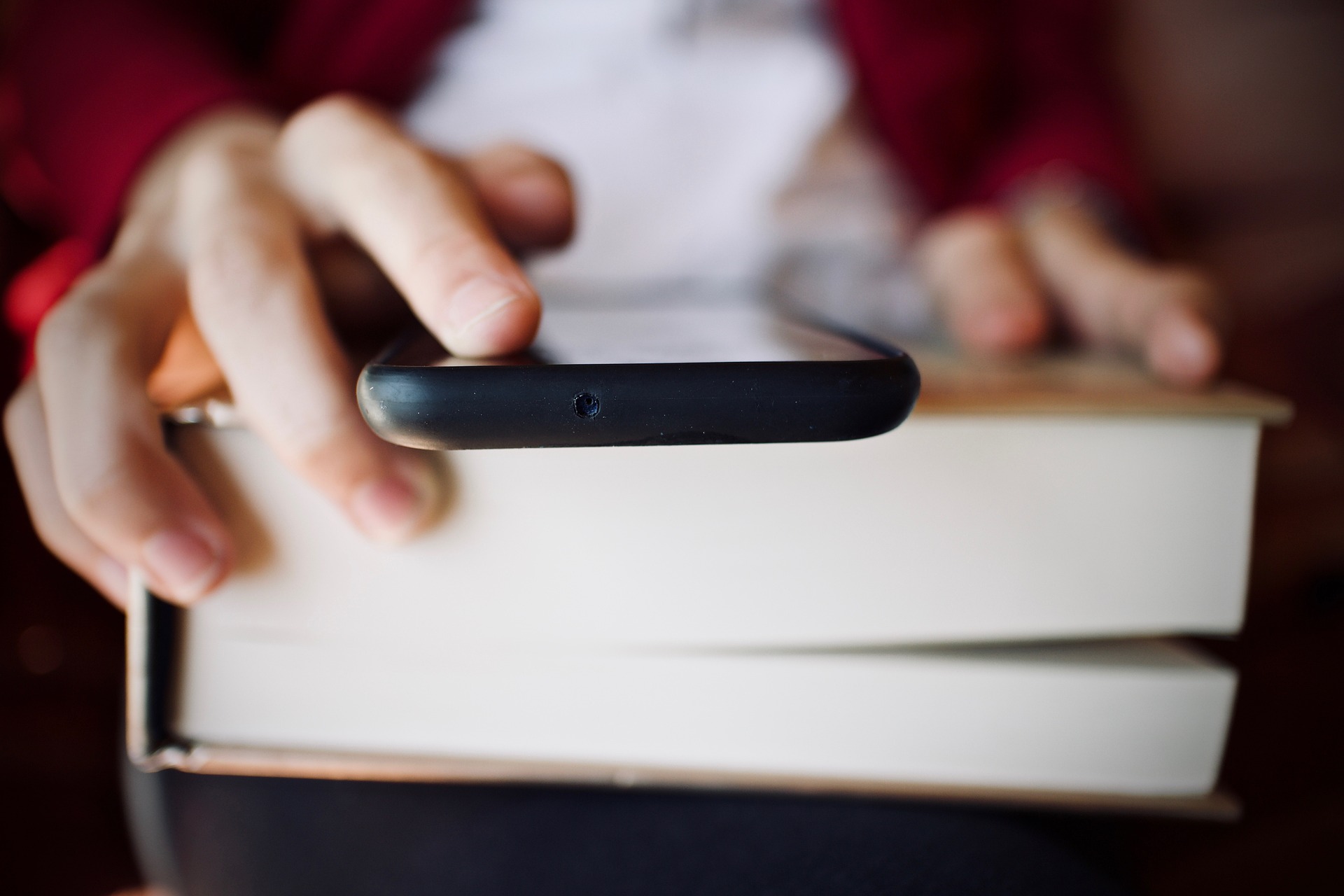 Fotografia: Pixabay.