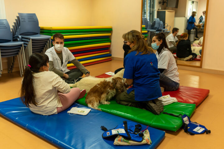 Dos gossos participen en una teràpia amb dues adolescents (fotografia: Hospital Clínic).