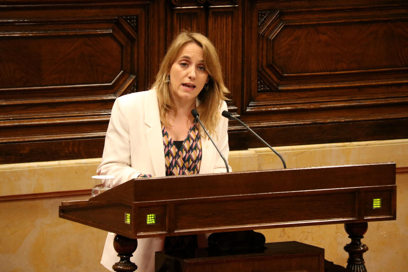 La consellera Natàlia Mas Guix intervenint al parlament