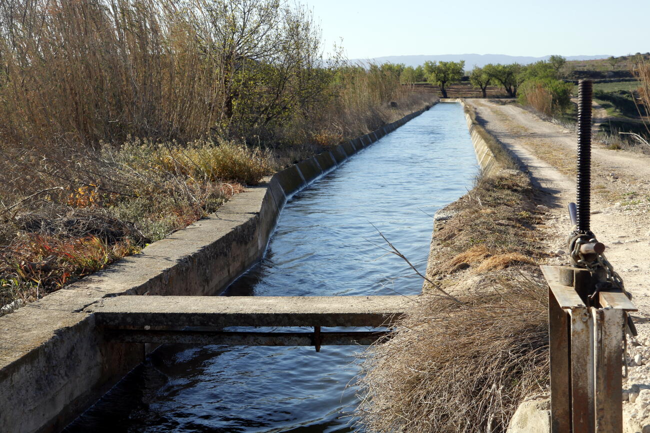 Una séquia del canal d'Urgell plena d'aigua el primer dia de la campanya de reg (fotografia: ACN).