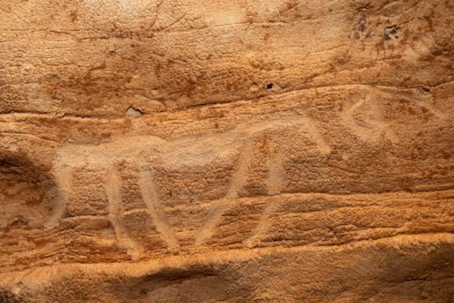 Descoberta espectacular d’un conjunt d’art prehistòric amb animals, ídols i símbols estranys