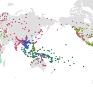 L’ADN gramatical del català i 2.400 llengües més en una gegantina nova base de dades