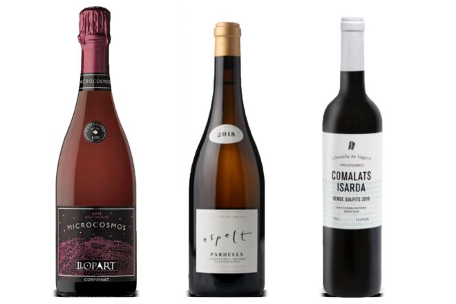 El llibre, la rosa i la copa de vi