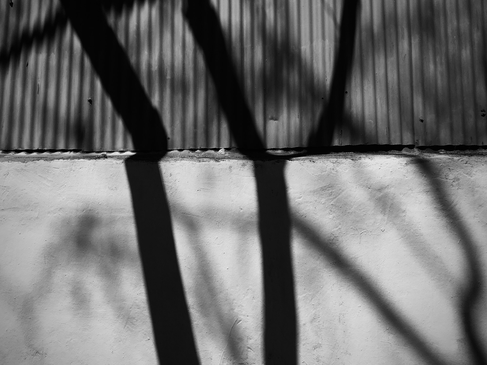 Fotografia: Jean-Marie del Moral.