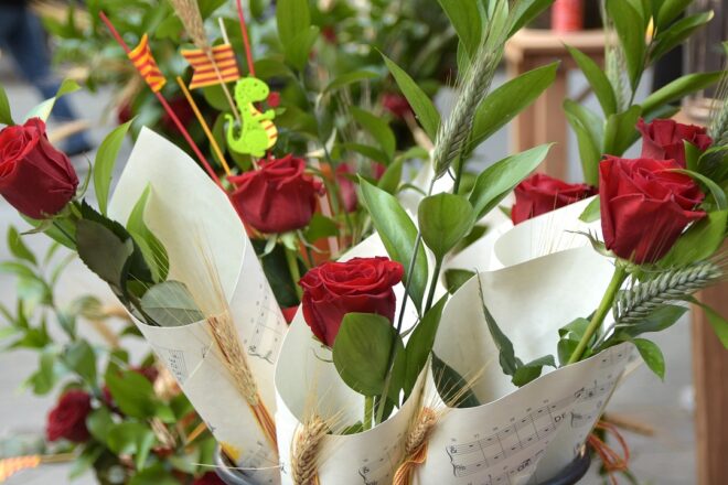 VilaWeb us desitja una bona diada de Sant Jordi 2023