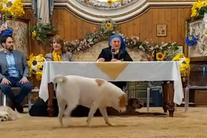 “Cristoteràpia”: el gran escàndol en una comunitat de monges que sacseja Itàlia