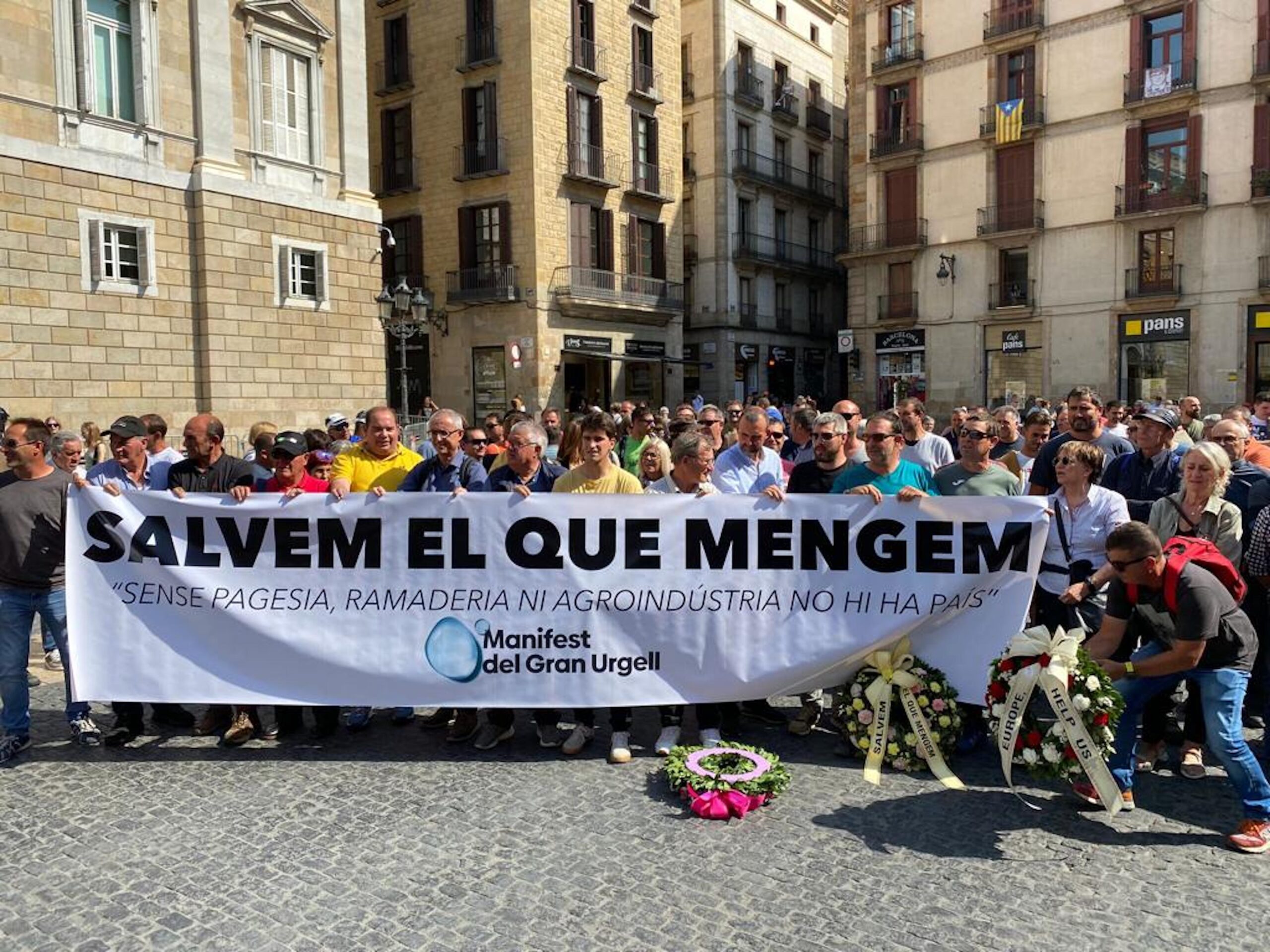 Manifestació a la Plaça Sant Jaume de Barcelona (fotografia: Miquel Bresolí).