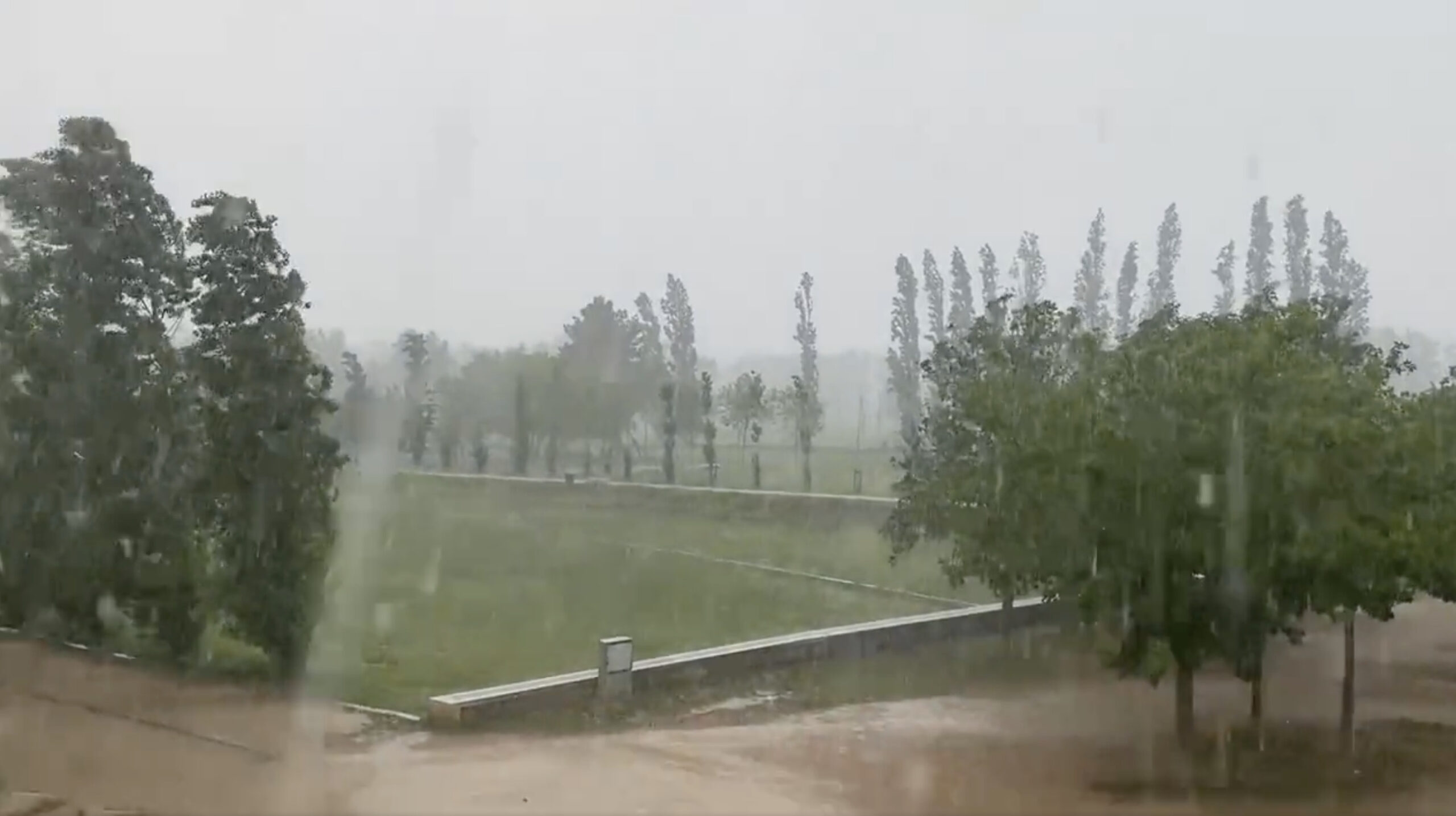 La pluja cau amb força a Banyoles (fotografia: Montse Roura).