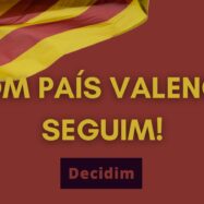 Decidim crida a un “rearmament contra el feixisme” en les institucions valencianes