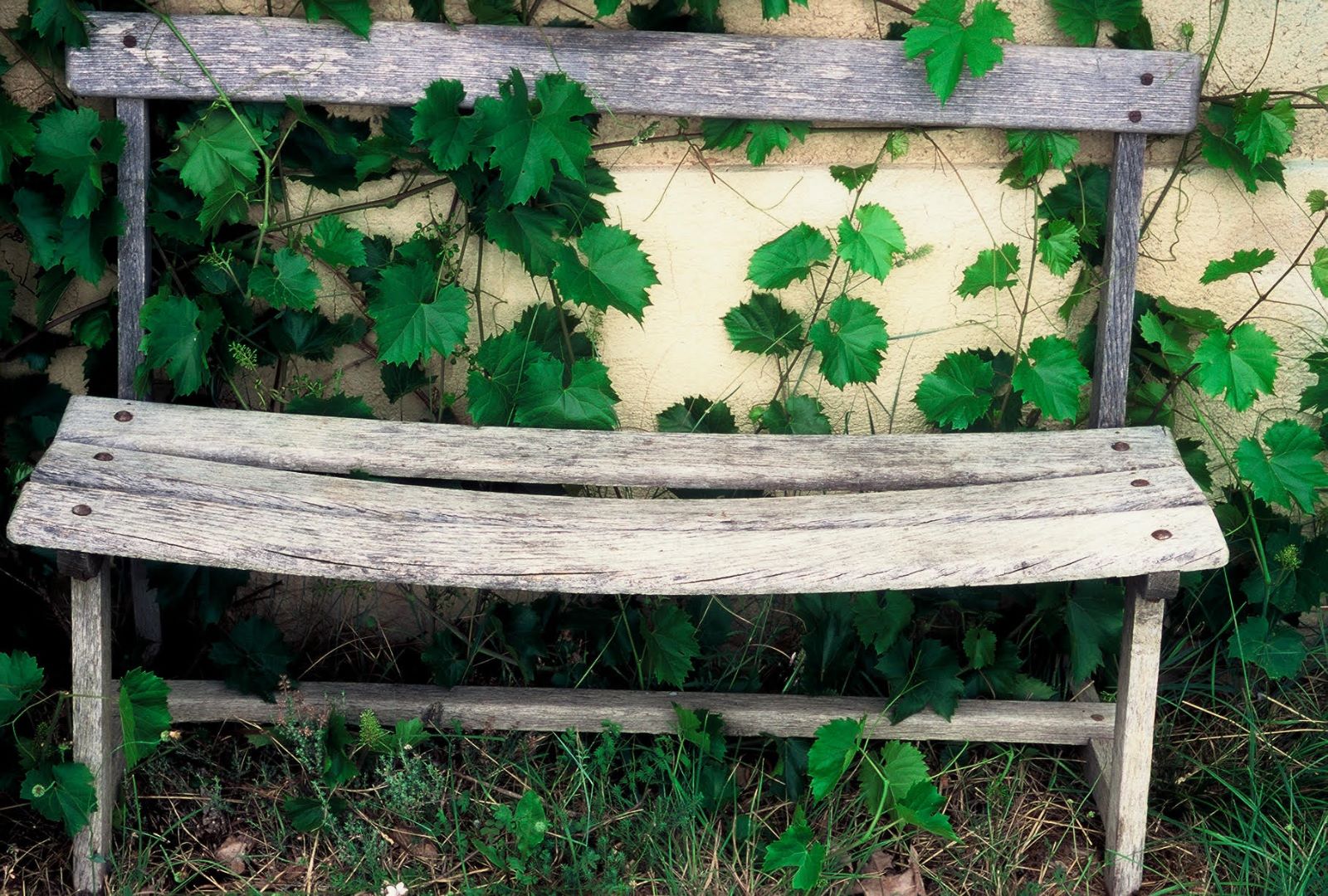 Fotografia: Jean-Marie del Moral.