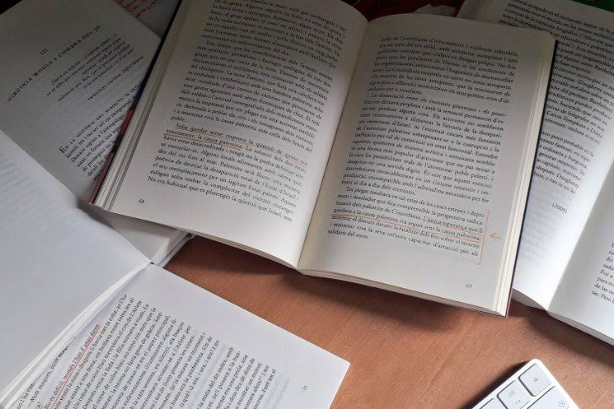 Llibres de Lispector, Moore, Cavarero i Pazos oberts i subratllats: article coent-se.