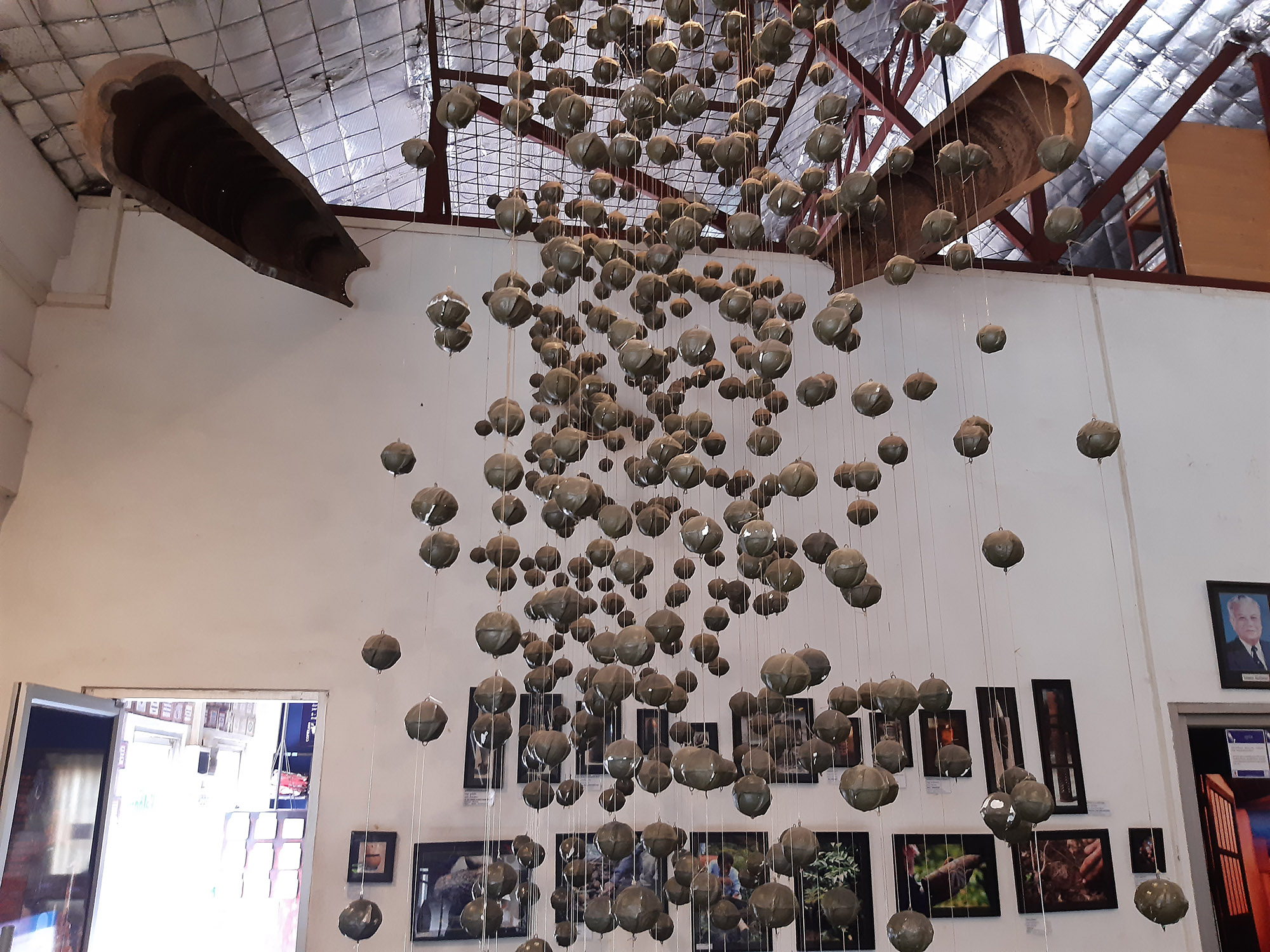 Quan una bomba de fragmentació sobre, es llancen milers de bombes petites (fotografia: Xavier Montanyà).