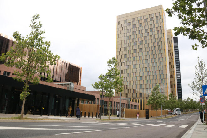 La justícia europea dóna la raó a Tous en la disputa amb una empresa polonesa pel símbol de l’ós