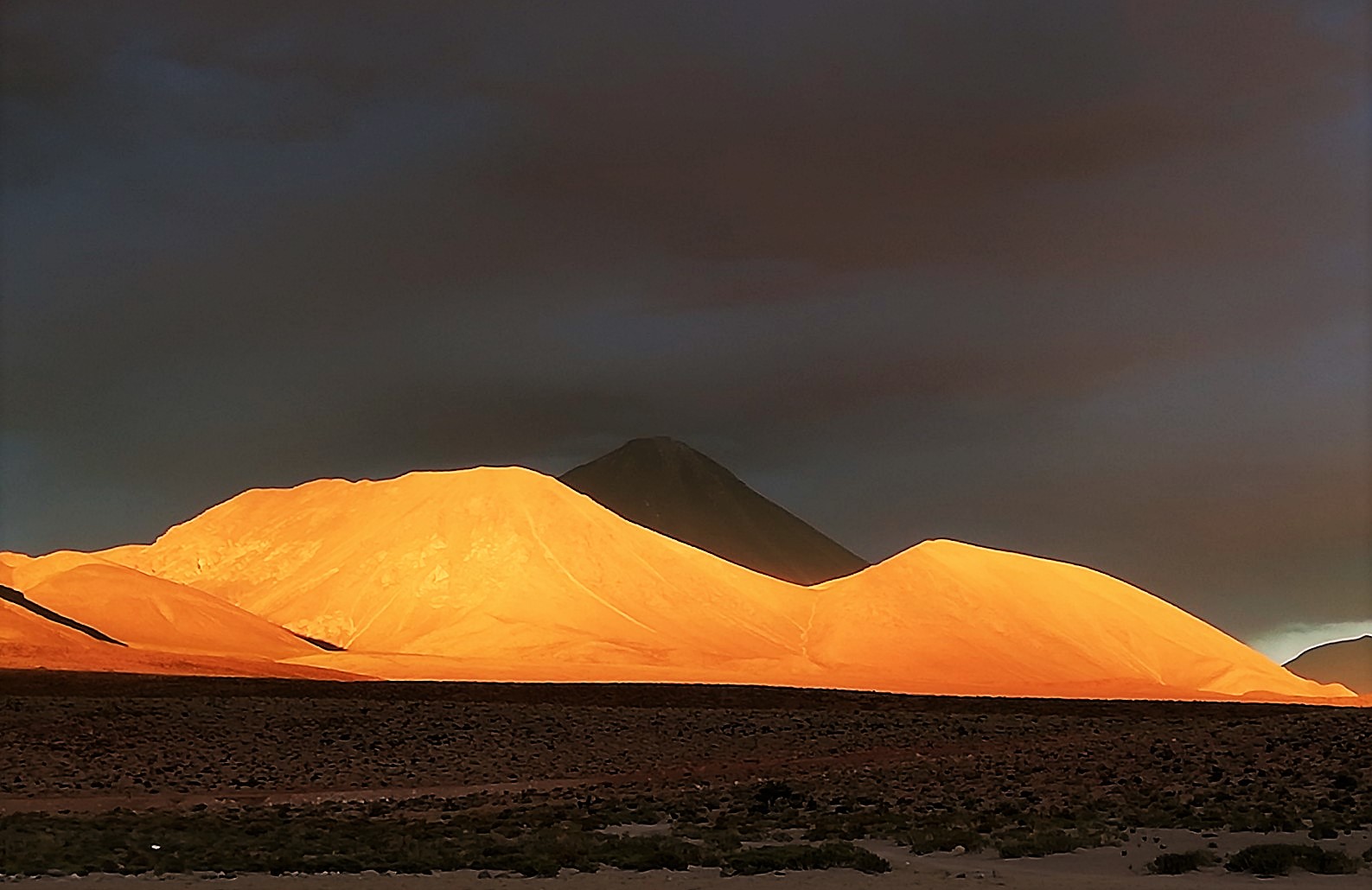 Fotografia: Sandra Fuentes, CC BY-SA 4.0, via Wikimedia Commons