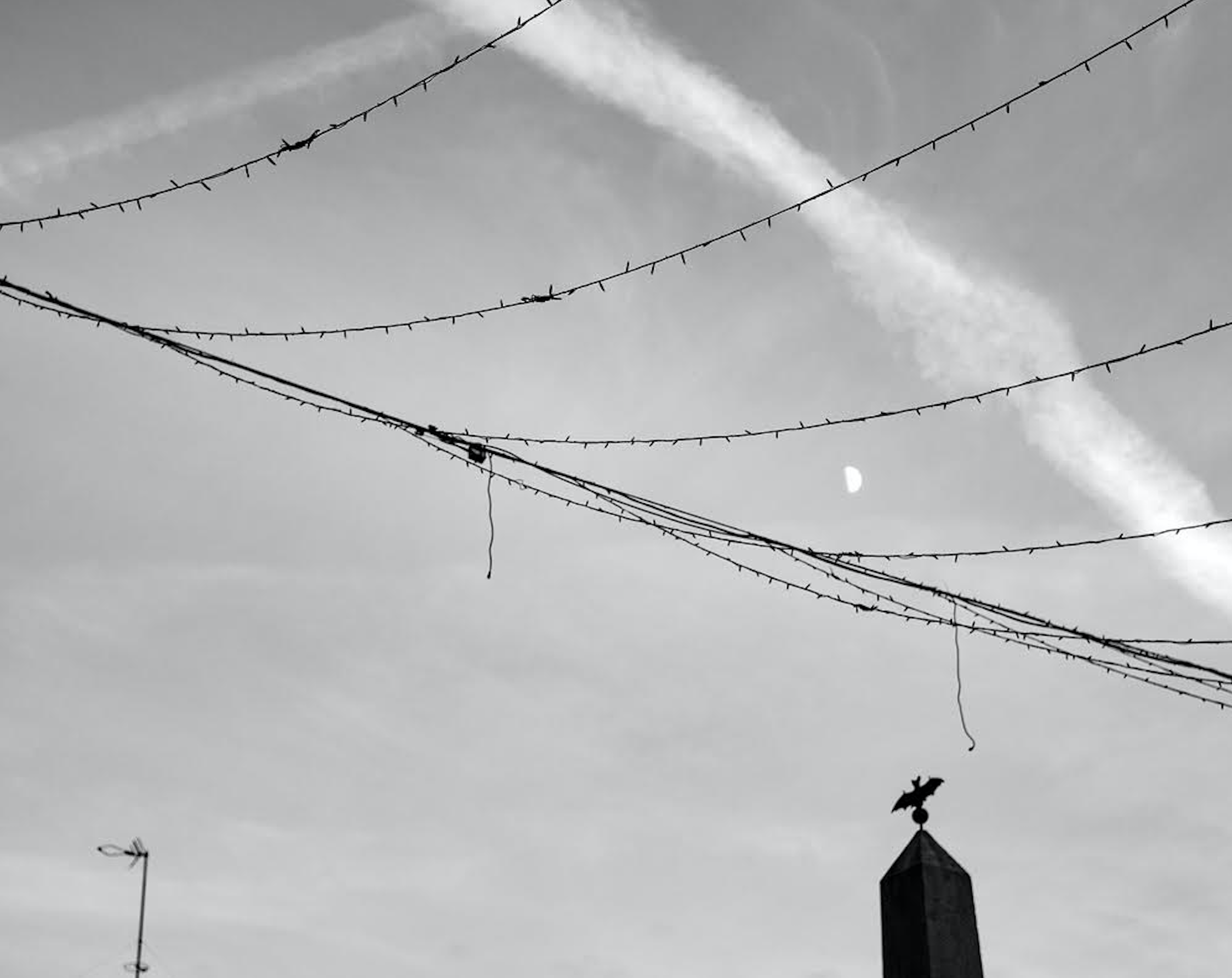 Fotografia: Jean-Marie del Moral