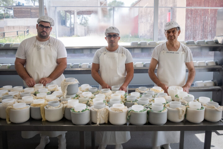 Fran (esquerra), Gerard i Salvador, tres dels formatgers amb discapacitats, elaborant el millor formatge del món, el Garrotxa de Formatgeria Muntanyola (Foto: Adiva Koenigsberg)