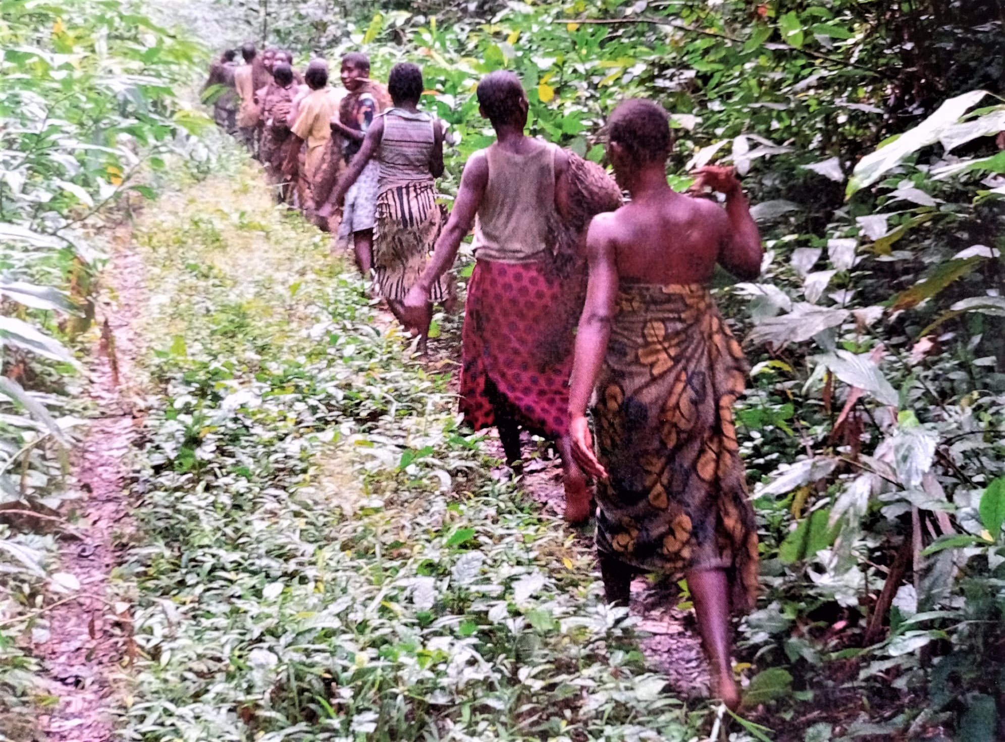 Dones i homes d'una comunitat aka van a caçar, amb xarxes (fotografia: Núria Cadenes).