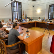 El ple de Ripoll aprova una moció de la CUP que condemna el racisme institucional arran d’un piulet de l’ajuntament