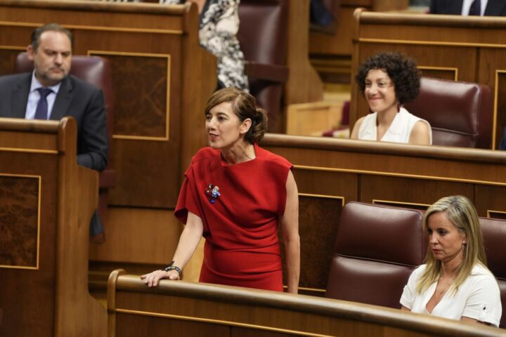 La diputada de Sumar, Marta Lois, en una intervenció durant el ple de constitució de les Corts Generals. (Fotografia: Javier Barbancho, ACN)