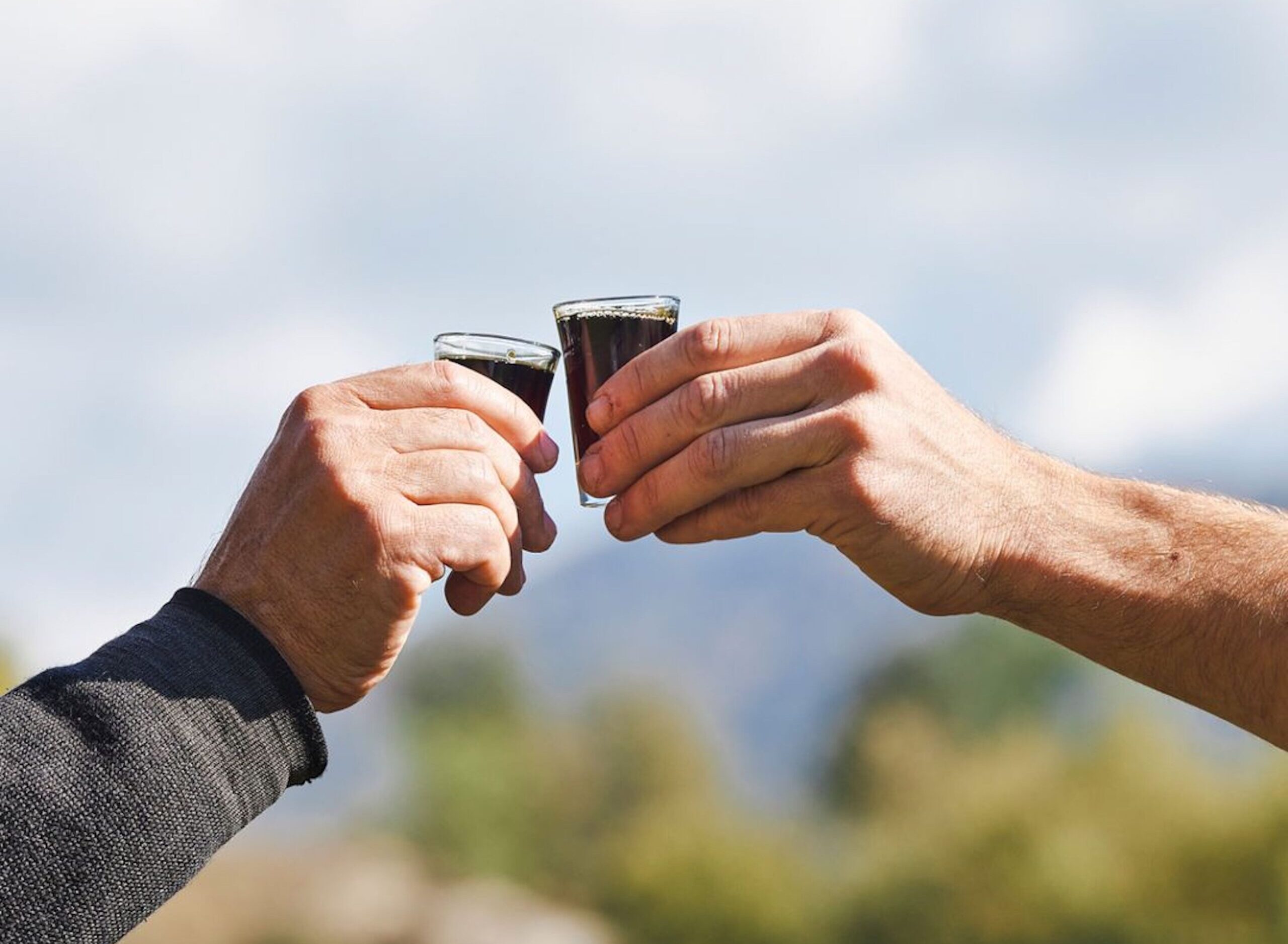 Fotografia extreta del perfil d'Instagram de @ratafia_bosch.