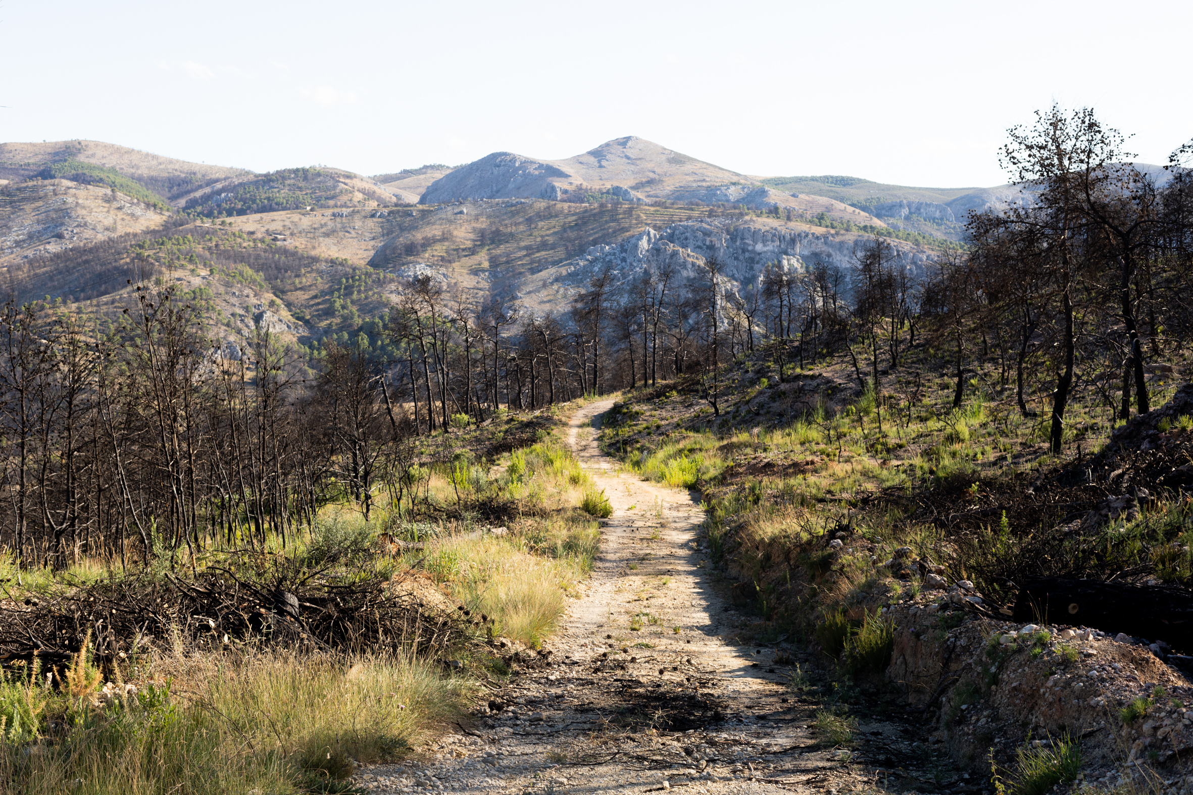 Fotografia: Laura Escartí.