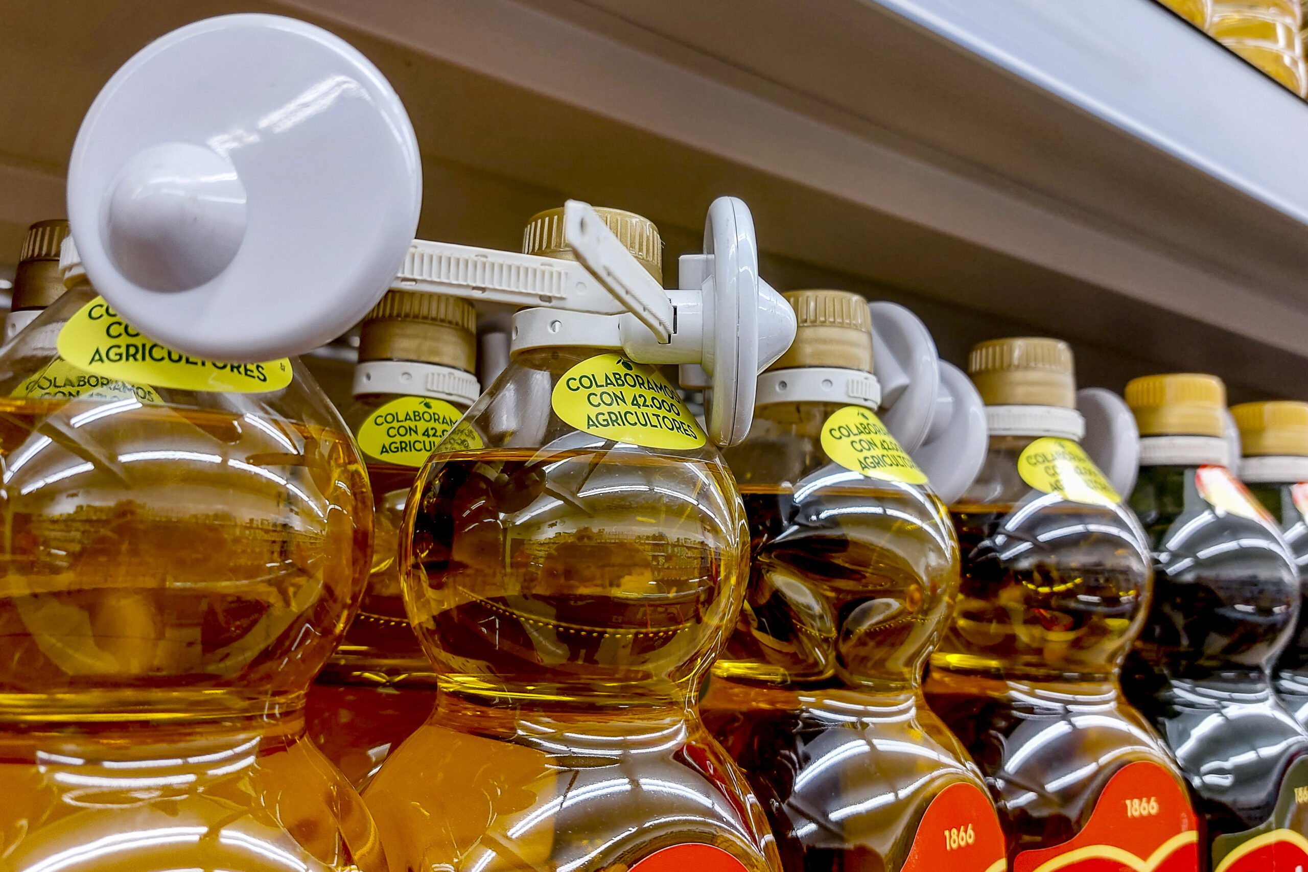 Ampolles d'oli amb collars antirobatori, aquesta setmana en un supermercat de Barcelona.