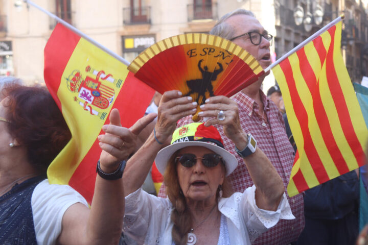 Una manifestant espanyolista a la plaça de Sant Jaume (fotografia: ACN / Nico Tomás).