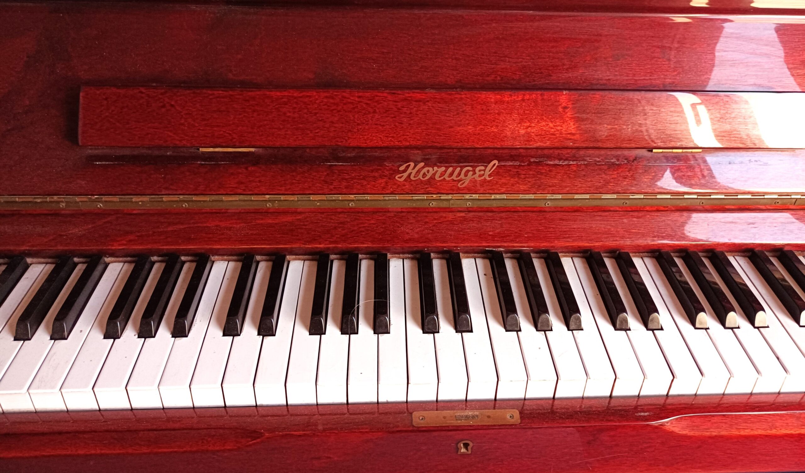 Fotografia: Mercè Ibarz.