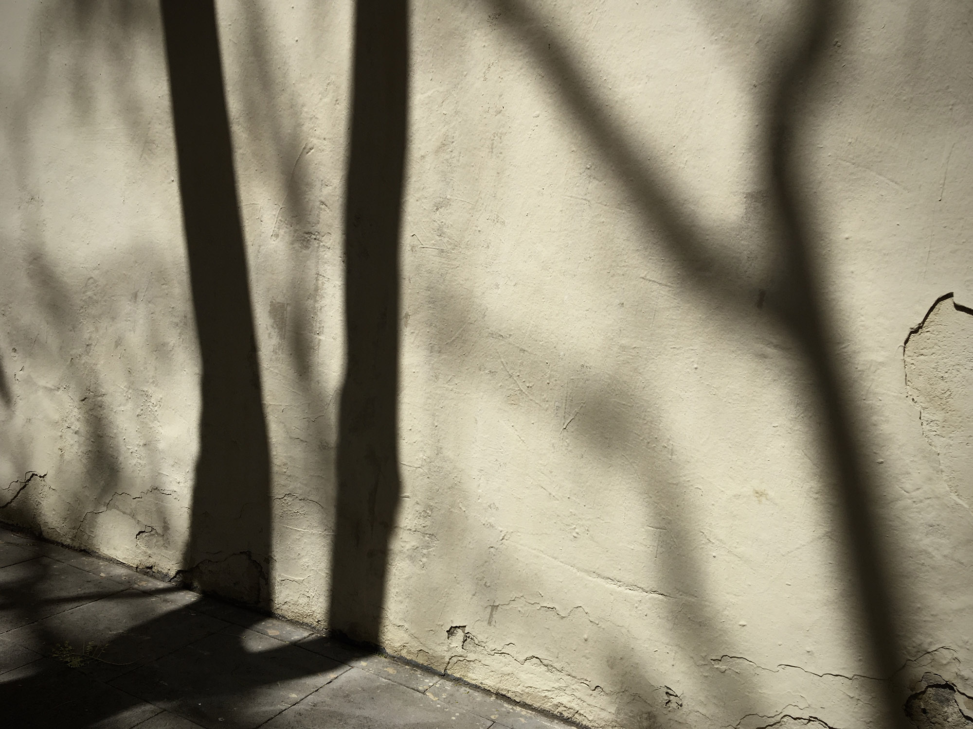 Fotografia: Jean-Marie del Moral.