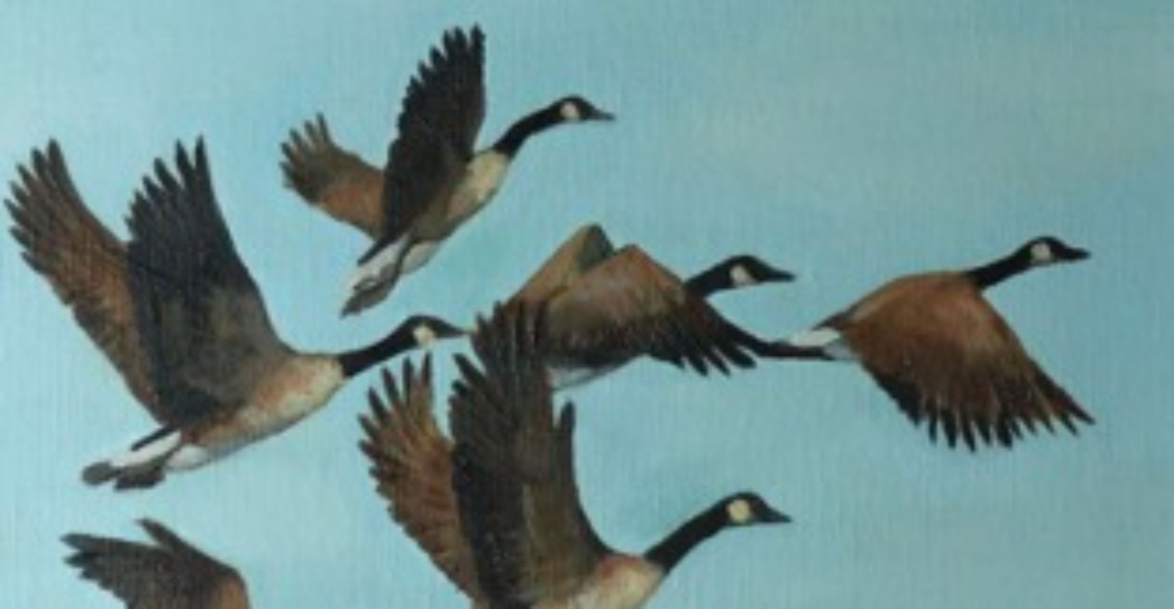 Detall d’un oli d’Alex Jabore.