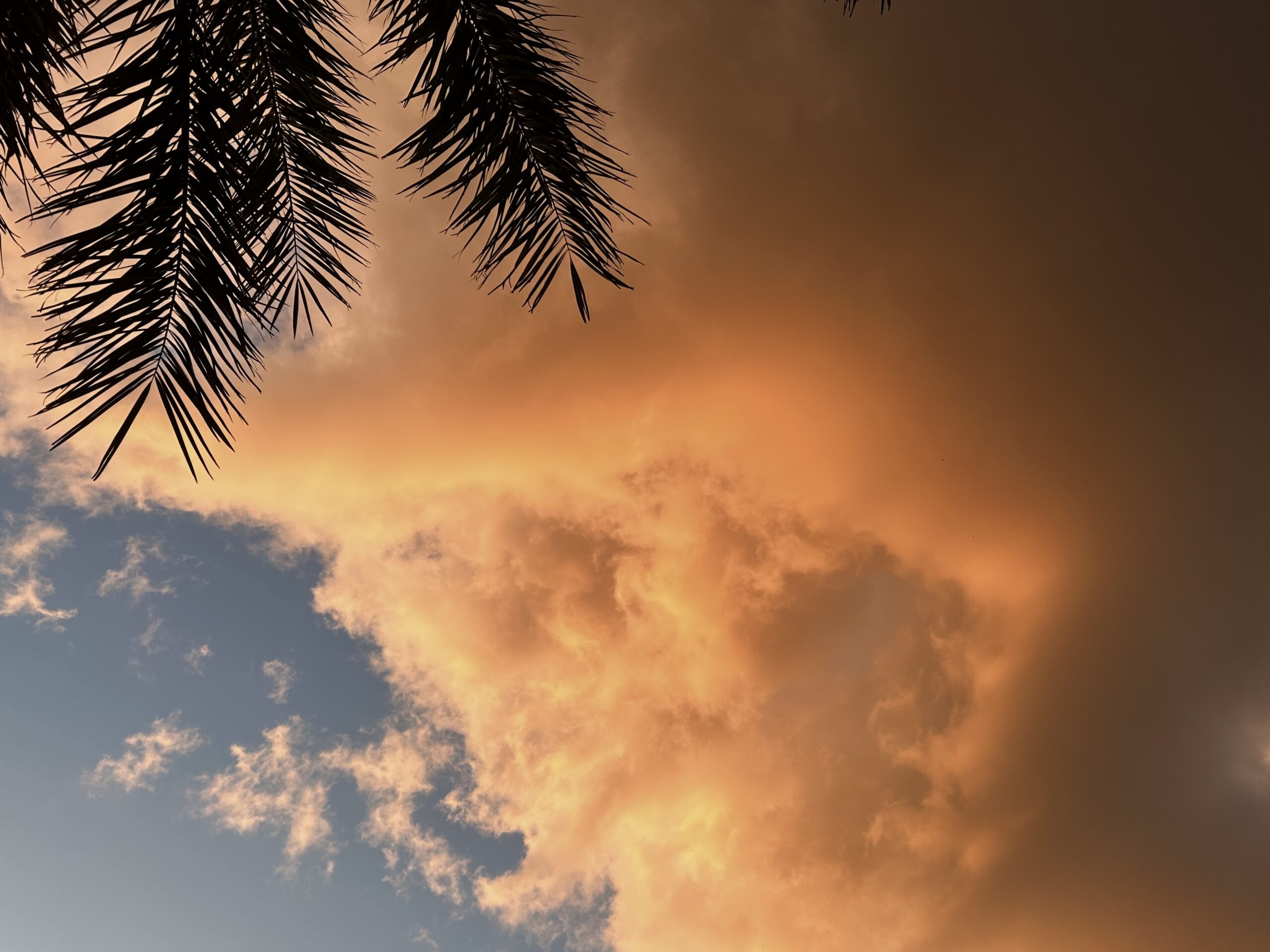 Fotografia: Jean-Marie del Moral.