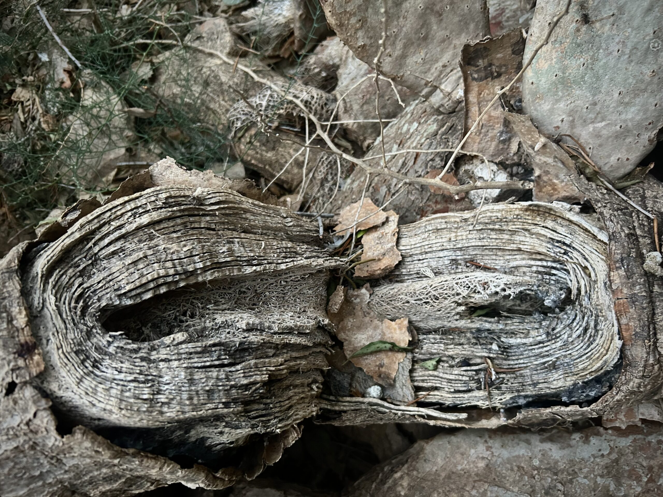 Fotografia: Jean-Marie del Moral.