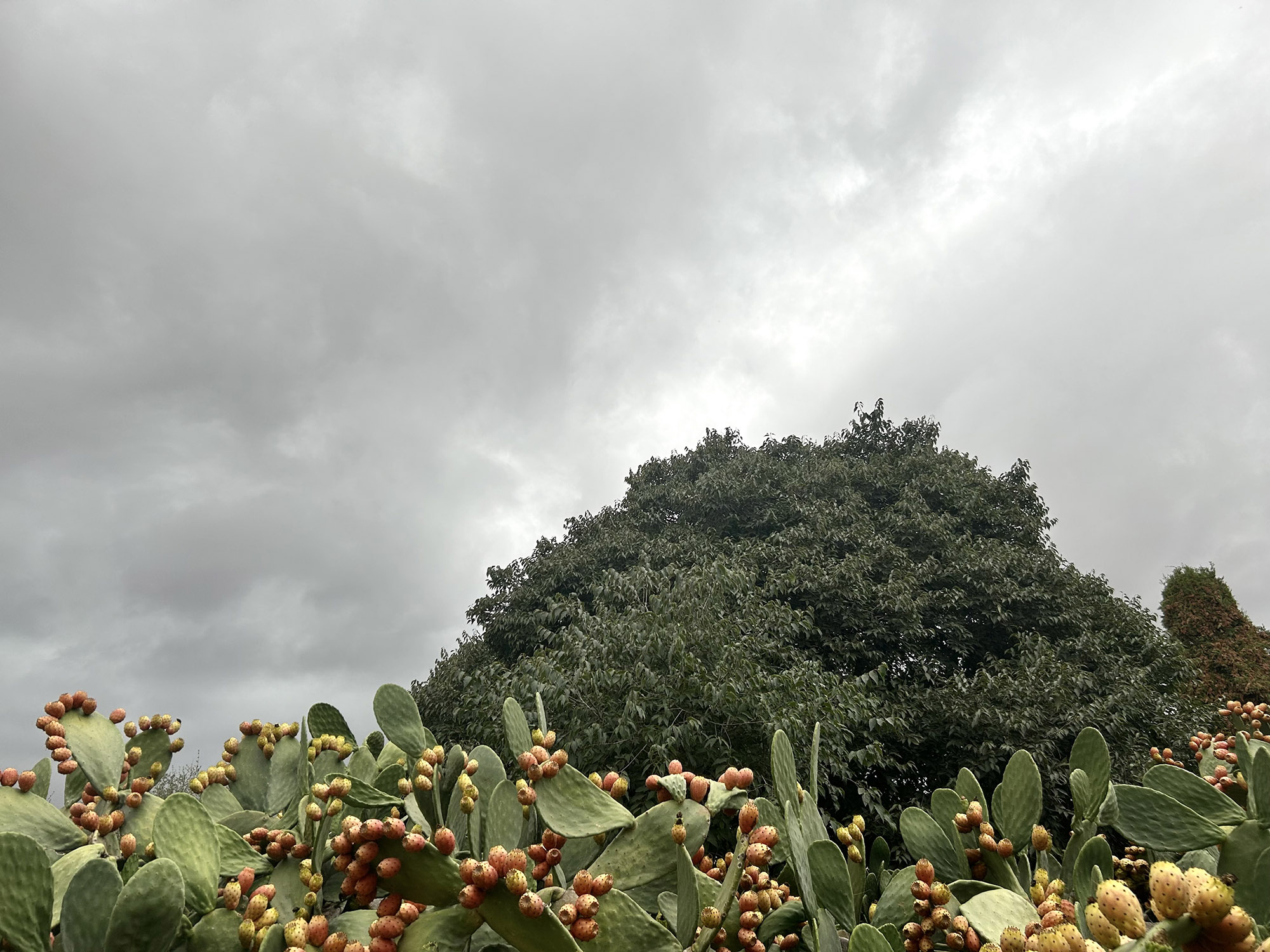 Fotografia: Jean-Marie del Moral.