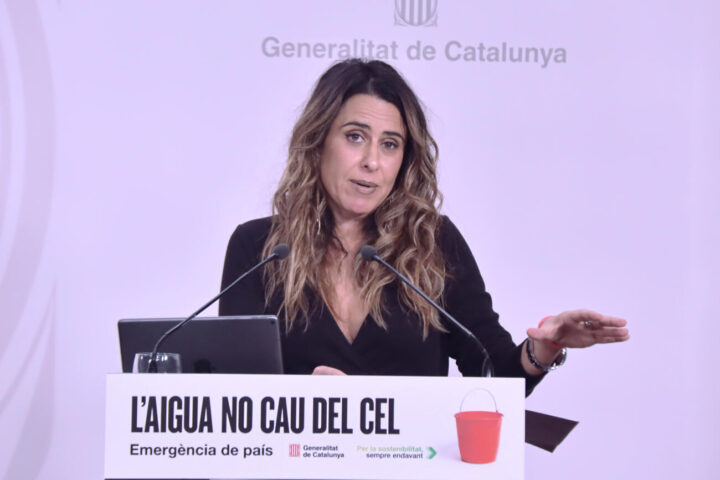 Patricia Plaja, portaveu del govern, en una imatge d'arxiu.
