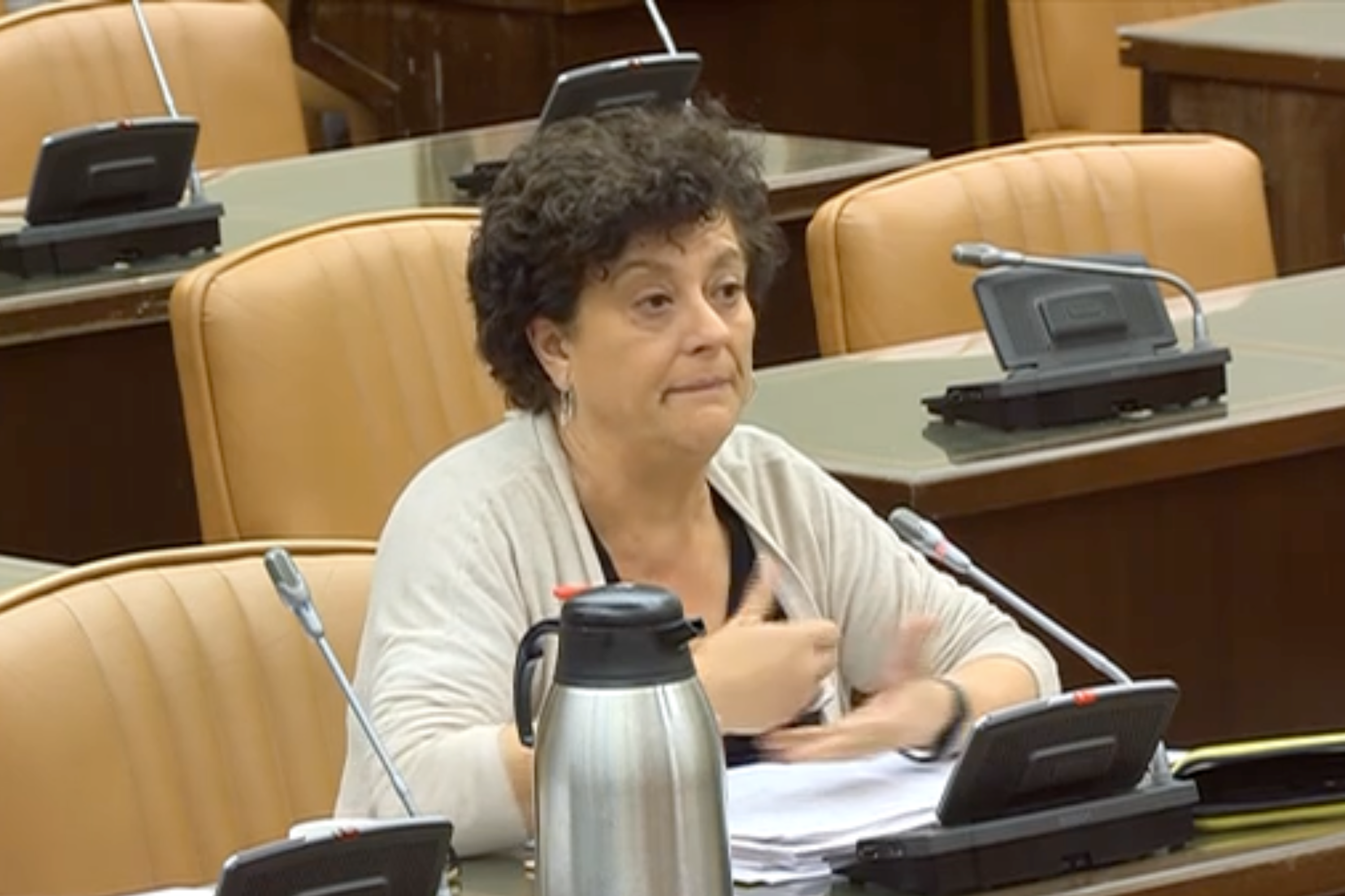 Vallugera, durant la seva intervenció.